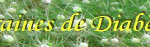 Graine-de-diabete.png