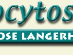 histiocytose_org.jpg