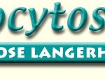 histiocytose_org-2.jpg